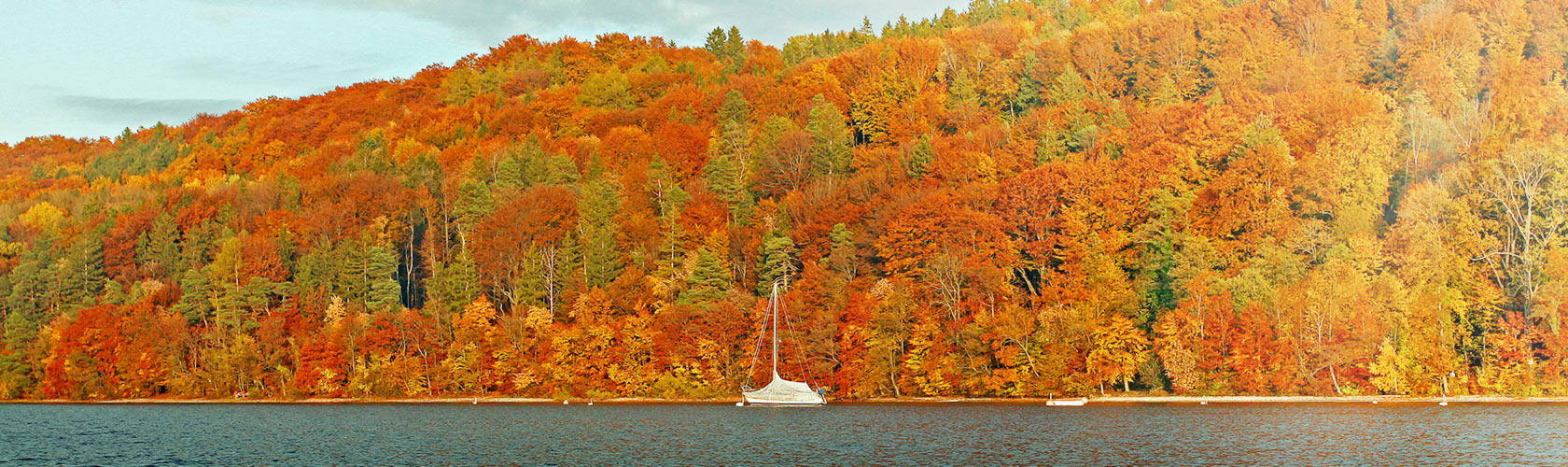 Ganzheitliche Kiefer&shy;orthopädie